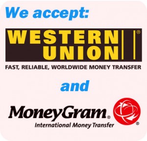 WesternUion & MoneyGram Logo